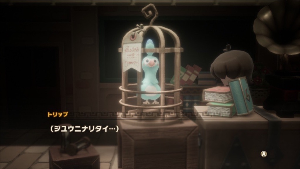 f:id:kinoko117kinoko:20250527104452j:image