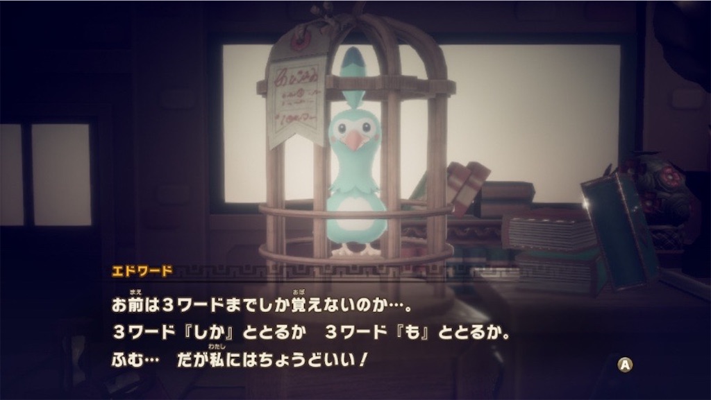 f:id:kinoko117kinoko:20250527104718j:image