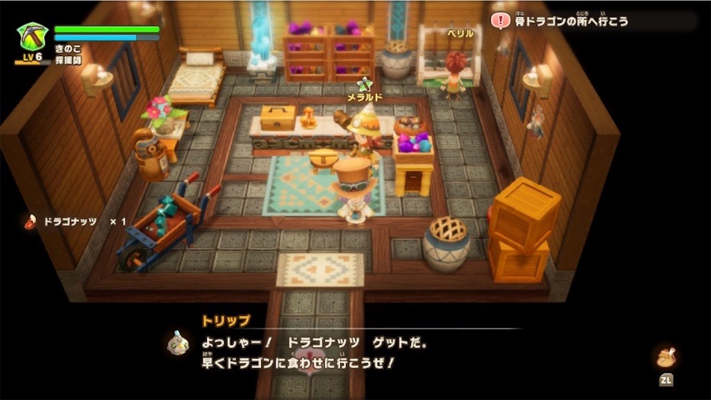 f:id:kinoko117kinoko:20250528103609j:image