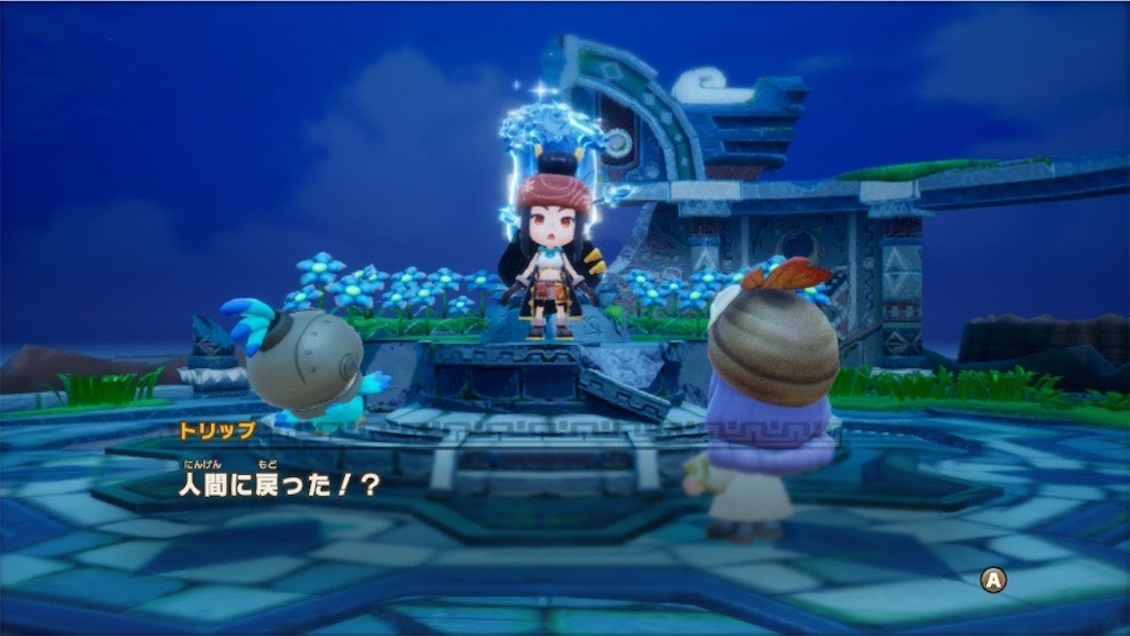 f:id:kinoko117kinoko:20250529154006j:image