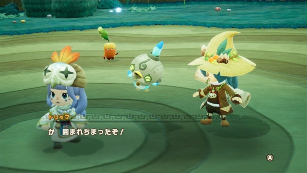 f:id:kinoko117kinoko:20250604185452j:image