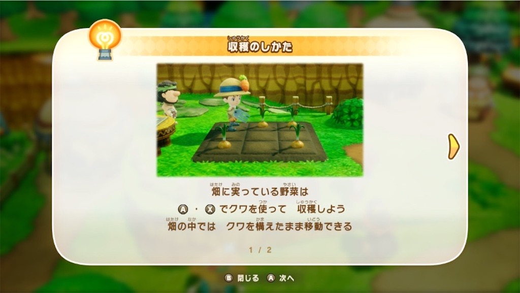 f:id:kinoko117kinoko:20250604185821j:image