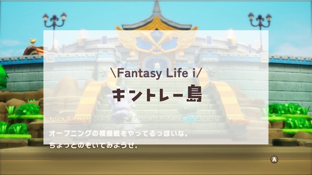 f:id:kinoko117kinoko:20250613153519j:image