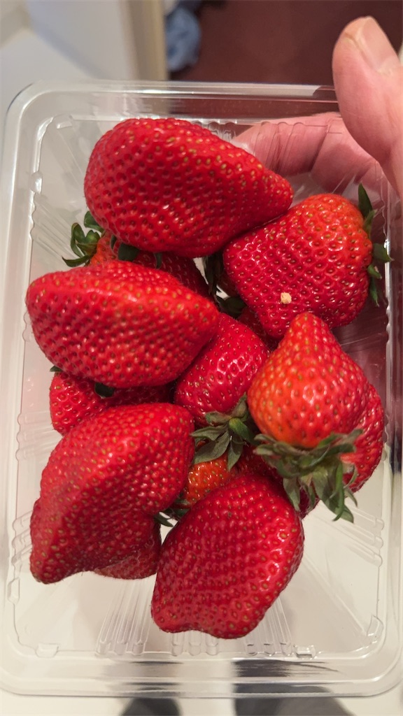 f:id:kinoko337:20260114073548j:image