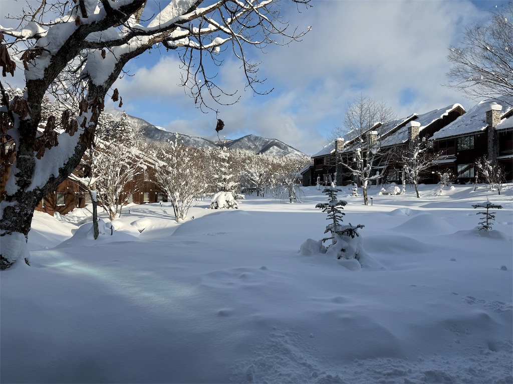 f:id:kinoko337:20260202084827j:image