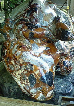 f:id:kinoko42:20090104133200j:image f:id:kinoko42:20090104133200j:image