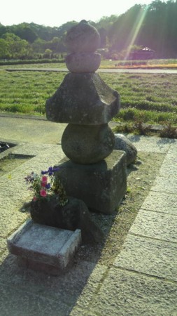 f:id:kinoko42:20100502165100j:image f:id:kinoko42:20100502165100j:image