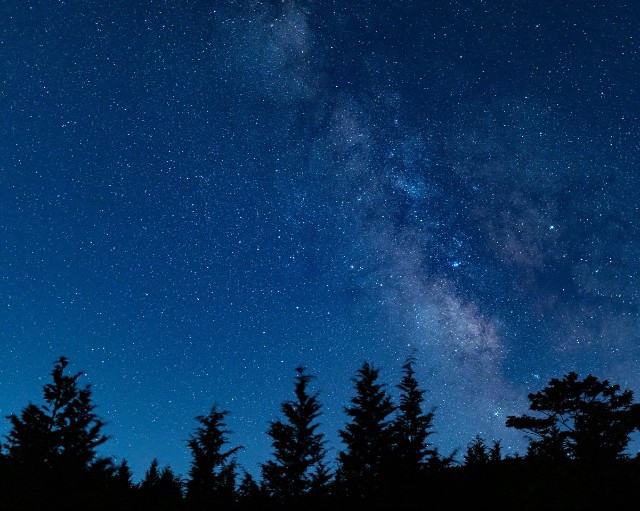 物思いにふける夜に聴いてほしい曲4選 きのこの日常