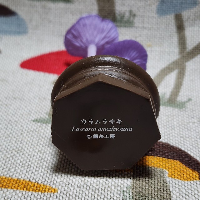 f:id:kinokoda:20230304202433j:image f:id:kinokoda:20230304202433j:image