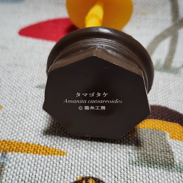 f:id:kinokoda:20230304202512j:image f:id:kinokoda:20230304202512j:image