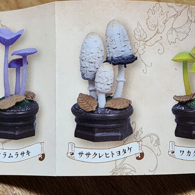 f:id:kinokoda:20230304203529j:image f:id:kinokoda:20230304203529j:image