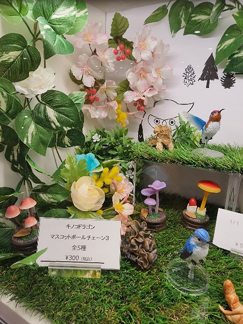 f:id:kinokoda:20230305071831j:image f:id:kinokoda:20230305071831j:image