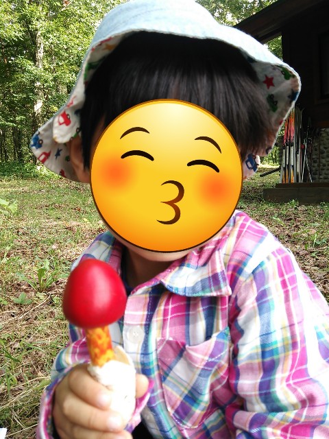 f:id:kinokoda:20230331170448j:image f:id:kinokoda:20230331170448j:image