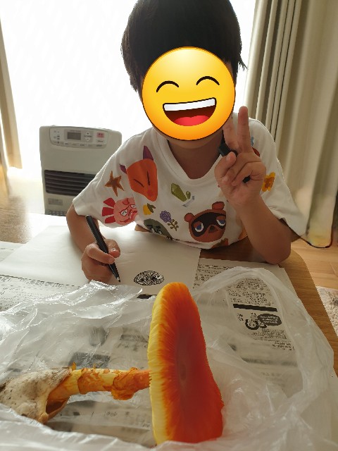 f:id:kinokoda:20230401001235j:image