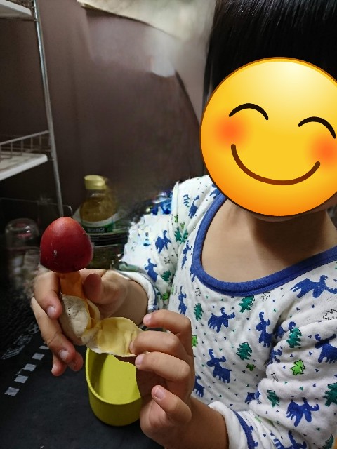 f:id:kinokoda:20230401173822j:image f:id:kinokoda:20230401173822j:image