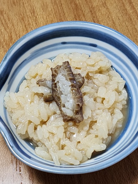 f:id:kinokoda:20230409121054j:image f:id:kinokoda:20230409121054j:image