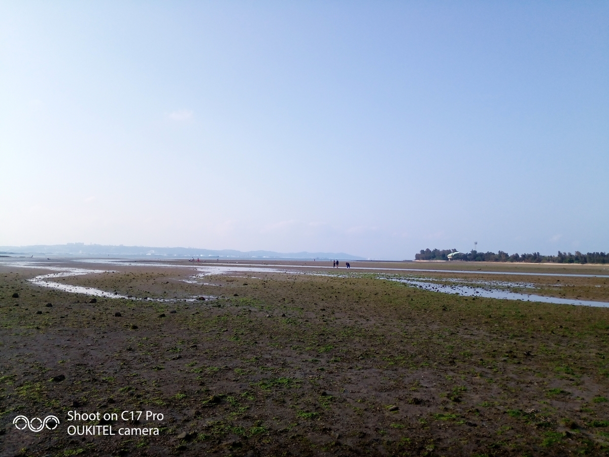 f:id:kinokonoko11:20200506164739j:plain f:id:kinokonoko11:20200506164739j:plain