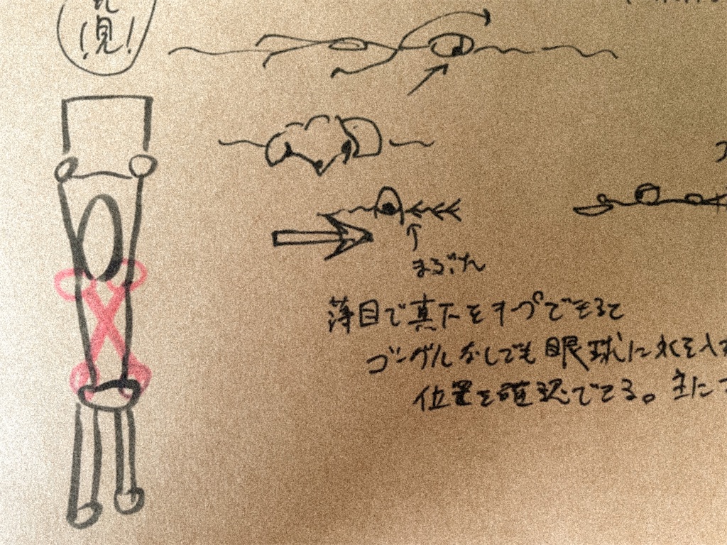f:id:kinokoroom:20230814201821j:image