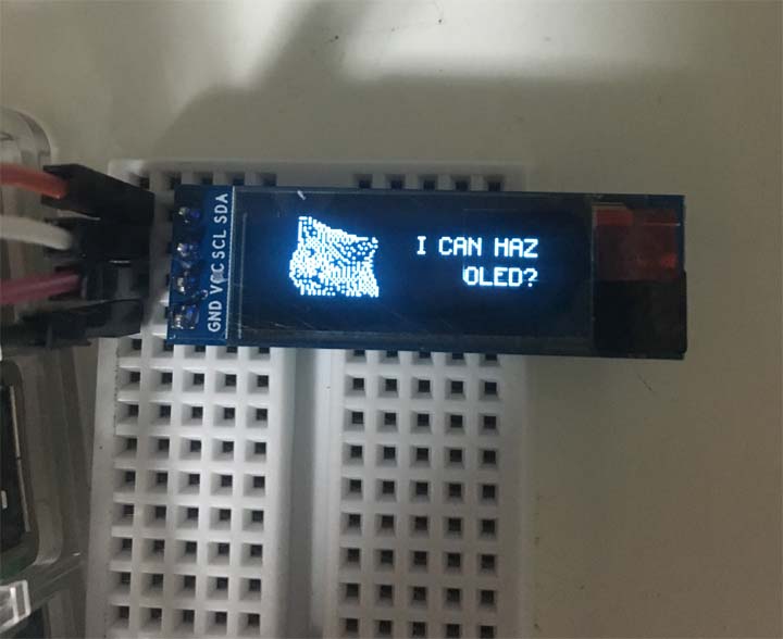 f:id:kinokorori:20170820213806j:plain f:id:kinokorori:20170820213806j:plain