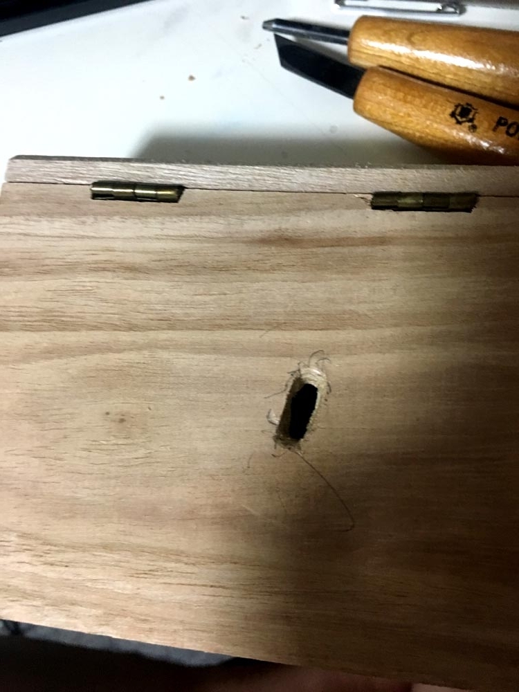 f:id:kinokorori:20170906211051j:plain:w300 f:id:kinokorori:20170906211051j:plain:w300