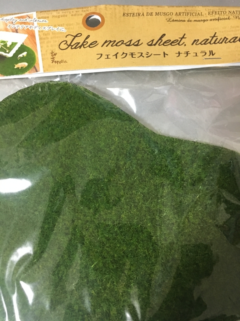 f:id:kinokorori:20180505172609j:plain:w300 f:id:kinokorori:20180505172609j:plain:w300