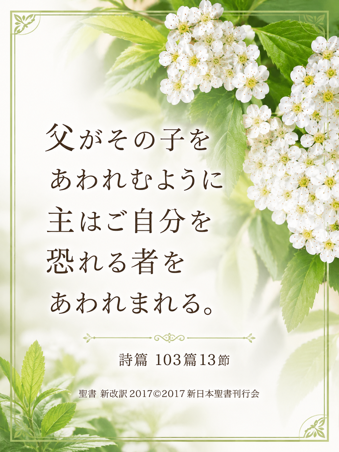 f:id:kinokunizaka66:20260621044520p:image