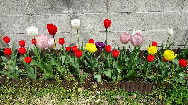 f:id:kinomura-suntaro:20190105152630j:plain