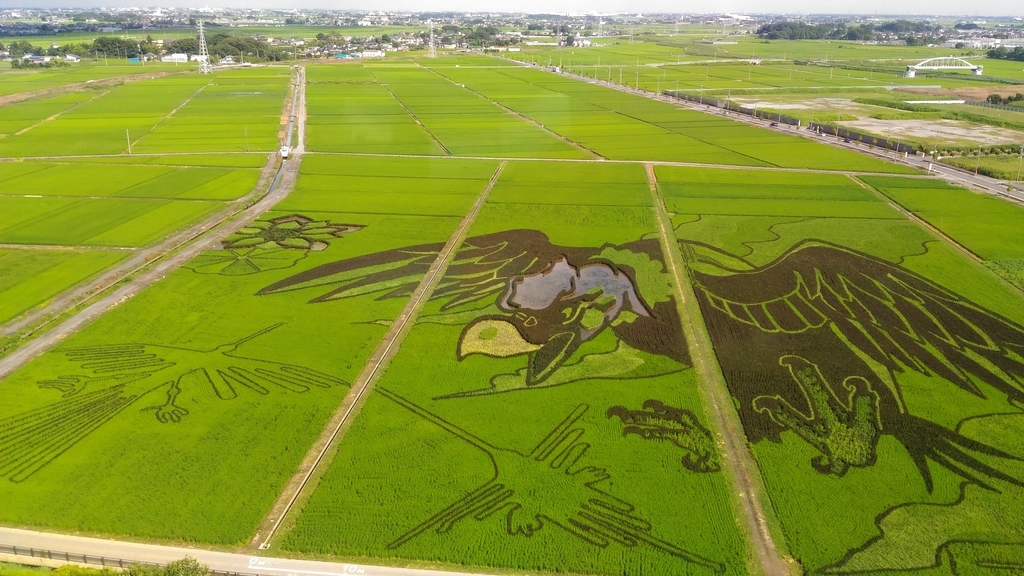 f:id:kinomura-suntaro:20190210173410j:plain
