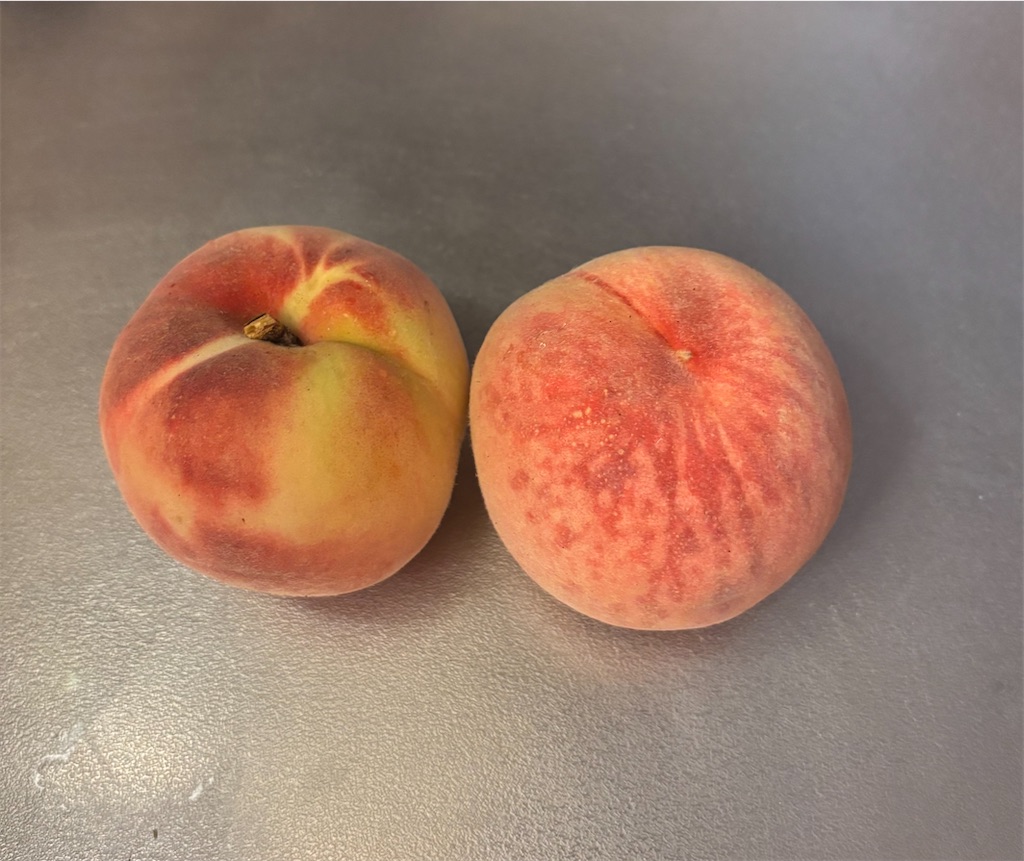 f:id:kinonikki:20250815075330j:image