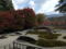 f:id:kinopee:20141119093550j:image:small:left
