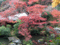 f:id:kinopee:20141119094133j:image:small:left