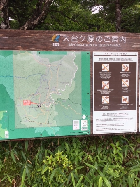 f:id:kinopee:20190730135411j:plain f:id:kinopee:20190730135411j:plain