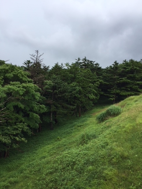 f:id:kinopee:20190730140000j:plain f:id:kinopee:20190730140000j:plain