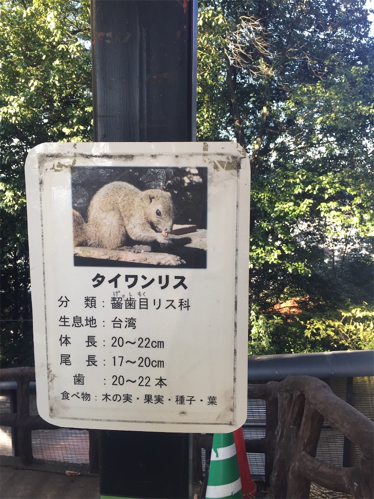 f:id:kinopone:20201120085841j:image