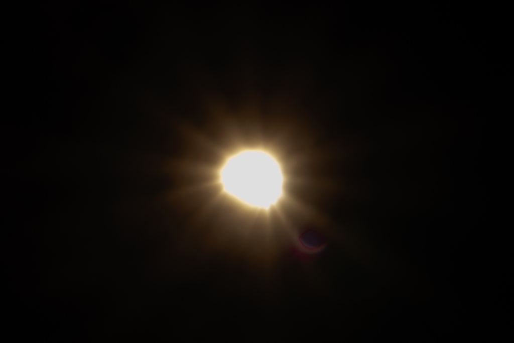 f:id:kinopyy622:20180328192853j:plain