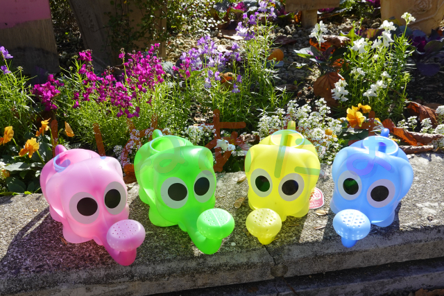 f:id:kinosefaru:20211128170207j:plain