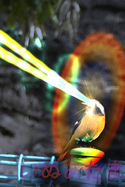 f:id:kinosefaru:20220109203158j:plain