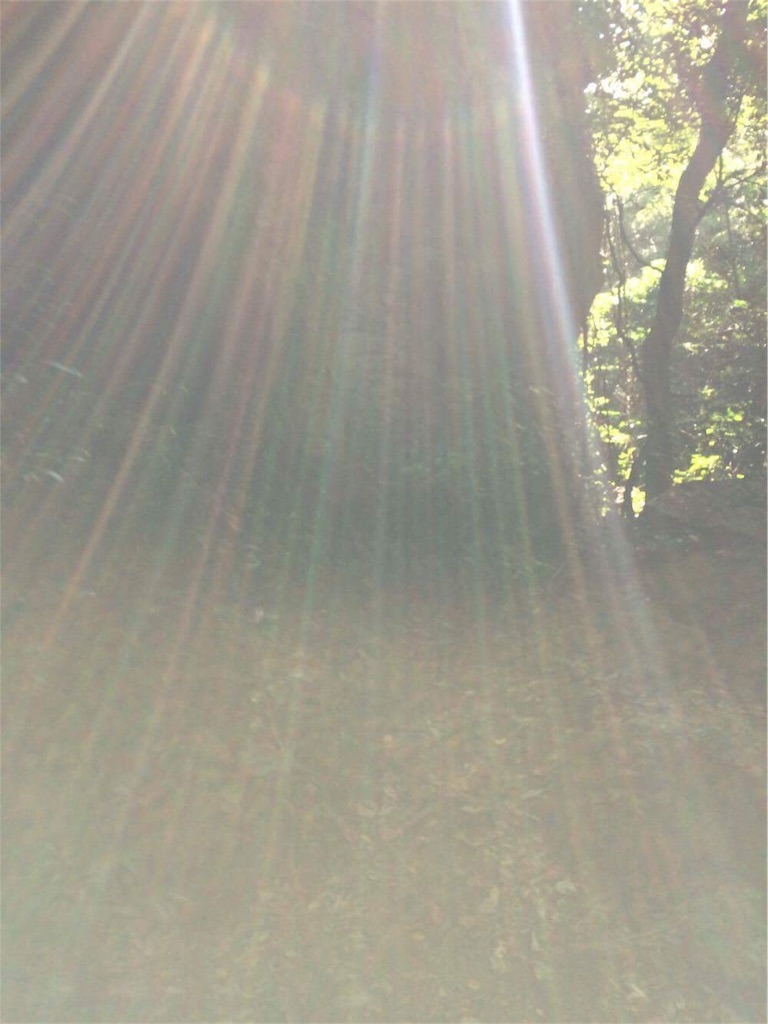f:id:kinpati1625:20180918135000j:image f:id:kinpati1625:20180918135000j:image
