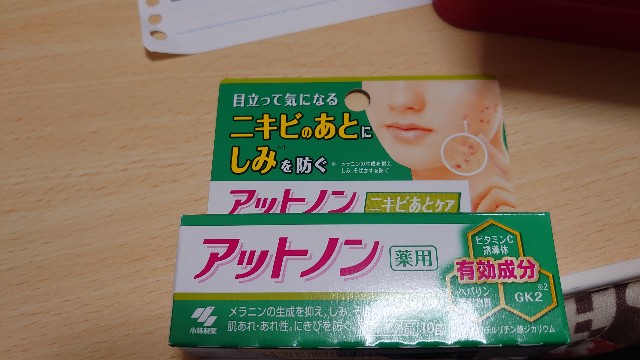 f:id:kinpi-man:20201208220031j:plain
