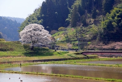 f:id:kinpougekai:20190419162515j:plain
