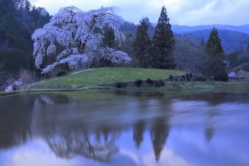 f:id:kinpougekai:20190503164847j:plain