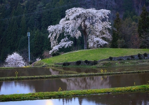 f:id:kinpougekai:20190503164848j:plain