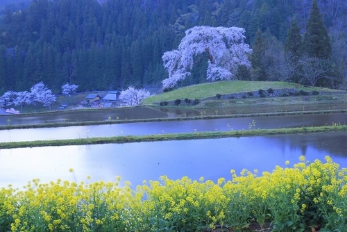 f:id:kinpougekai:20190503164849j:plain