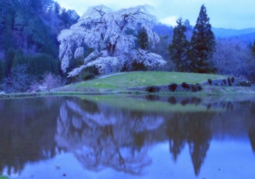f:id:kinpougekai:20190503164850j:plain