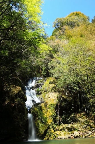 f:id:kinpougekai:20190506200110j:plain
