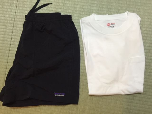 おっさんがパタゴニアのバギーズショーツを買ってみた 足るを知るを知る