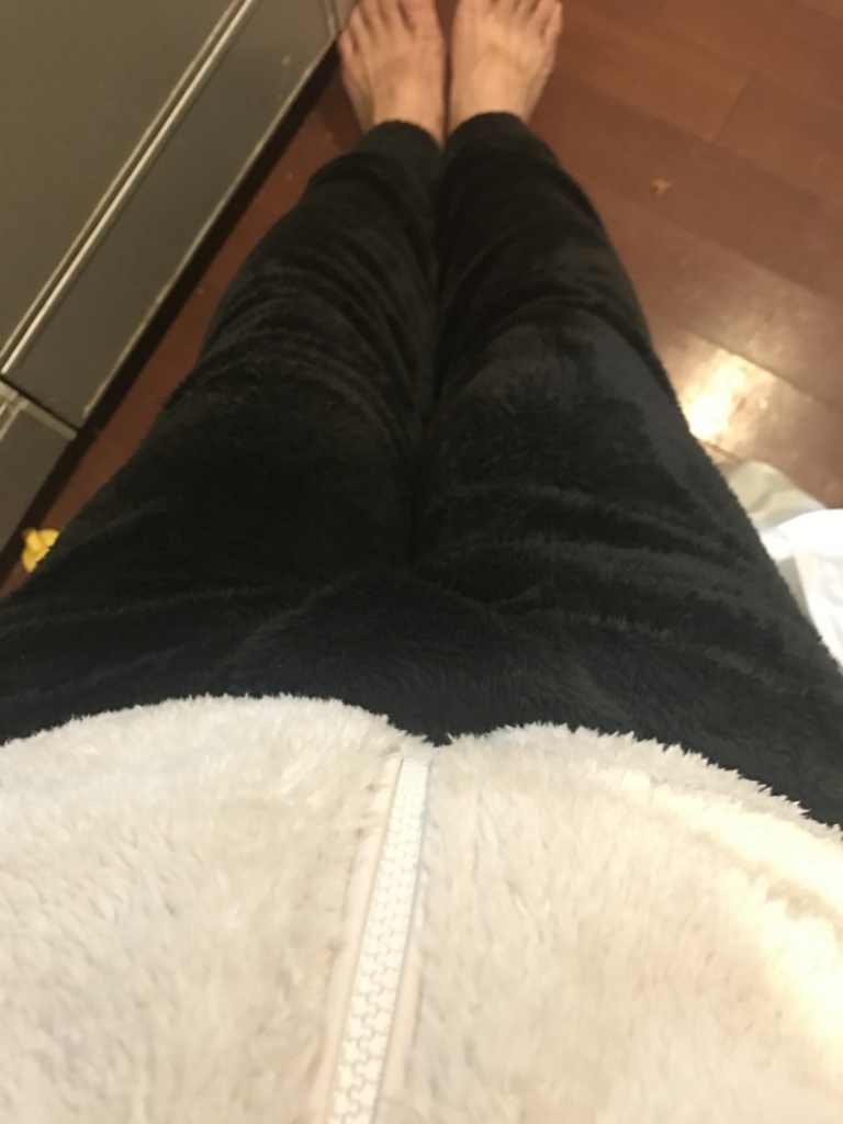 f:id:kinpunmarason:20171231003618j:plain