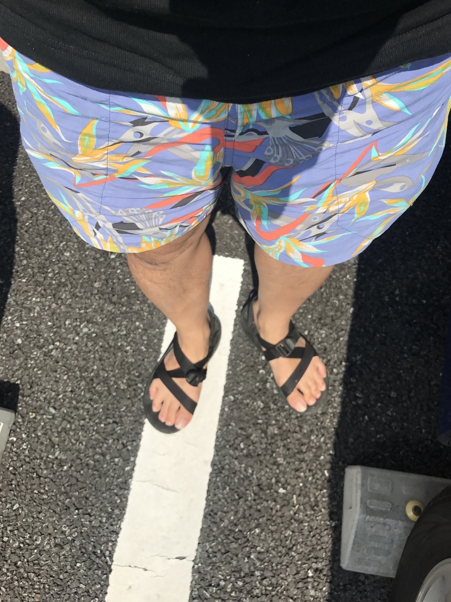 f:id:kinpunmarason:20190827231500j:plain f:id:kinpunmarason:20190827231500j:plain