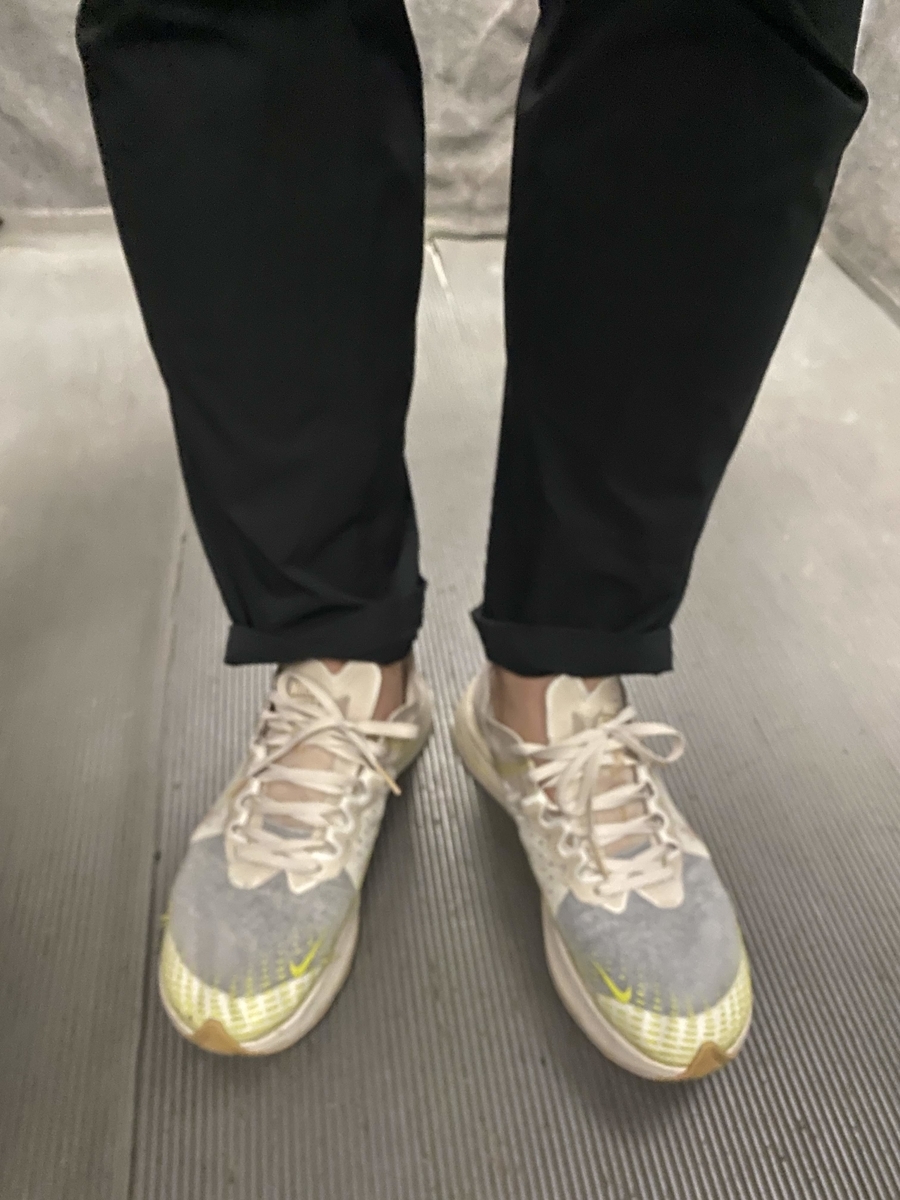 f:id:kinpunmarason:20200225212752j:plain