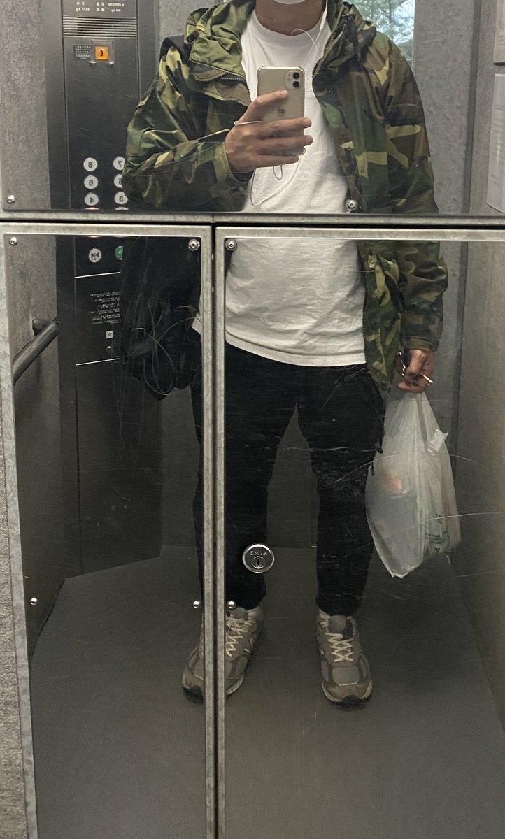 f:id:kinpunmarason:20210324184229j:plain